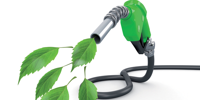 Con investigaciones por antidumping de Estados Unidos en la mira, las exportaciones de biodiesel crecieron 59% durante el primer cuatrimestre
