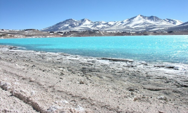 FMC comienza a implementar un plan de inversión de u$s 300 millones en Catamarca