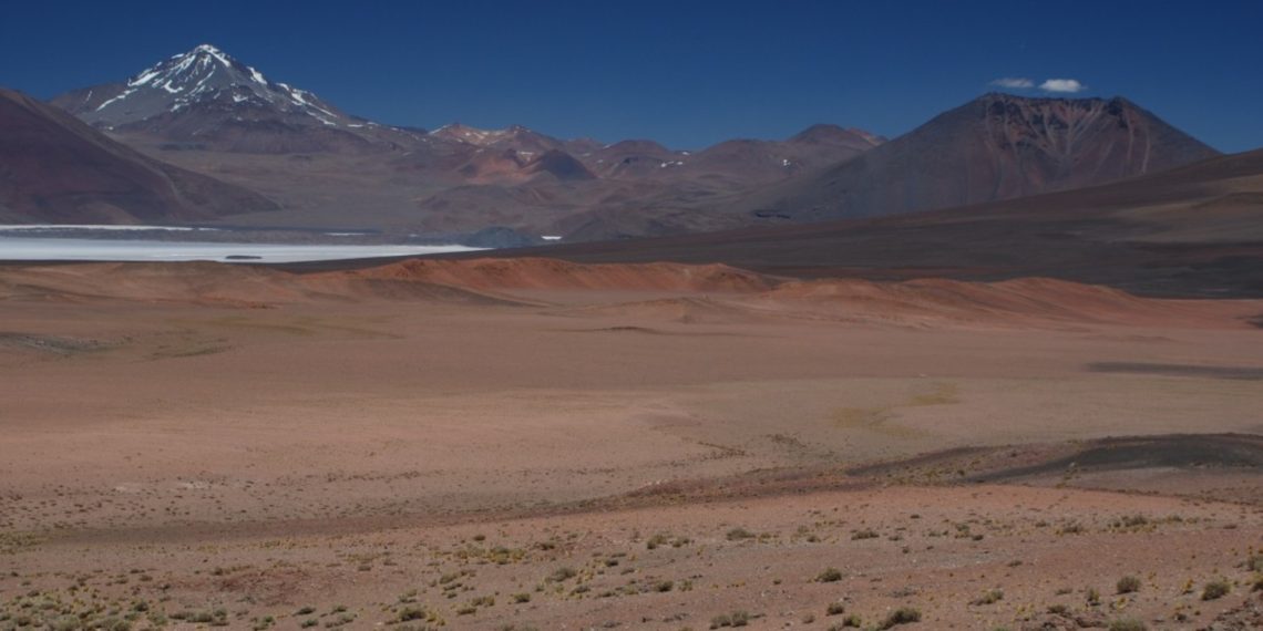 Minera australiana descubre litio y potasio en Salta