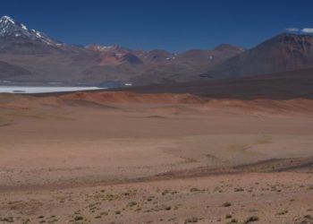 Minera australiana descubre litio y potasio en Salta