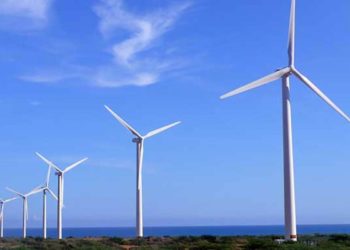 29 proyectos por más de 1.000 Mw compiten en el Mercado a Término de Energías Renovables