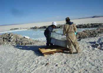 Proyectan multiplicar por 10 la producción de litio en 2022