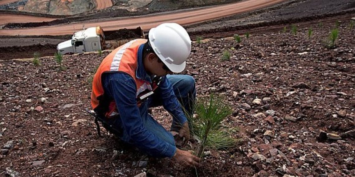 La Minería argentina adhiere a un programa sustentable