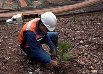La Minería argentina adhiere a un programa sustentable