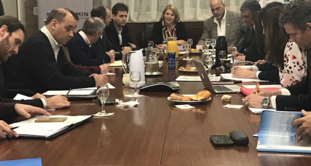 La Secretaria de Minería participó del plenario de las provincias mineras