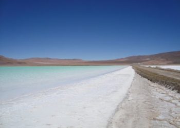 LSC Lithium actualiza datos de su proyecto de litio en Salta