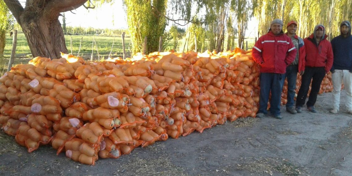 Minera Andina del Sol renovará su aporte al programa de desarrollo agrícola en San Juan