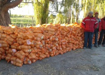 Minera Andina del Sol renovará su aporte al programa de desarrollo agrícola en San Juan