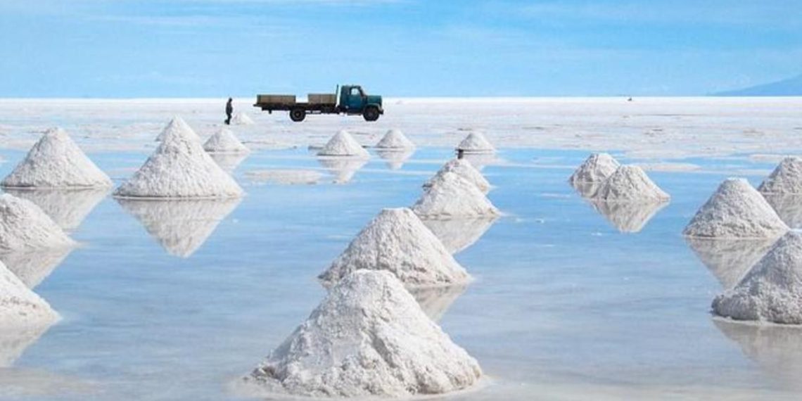 México: Sonora busca posicionarse en el mercado mundial del litio