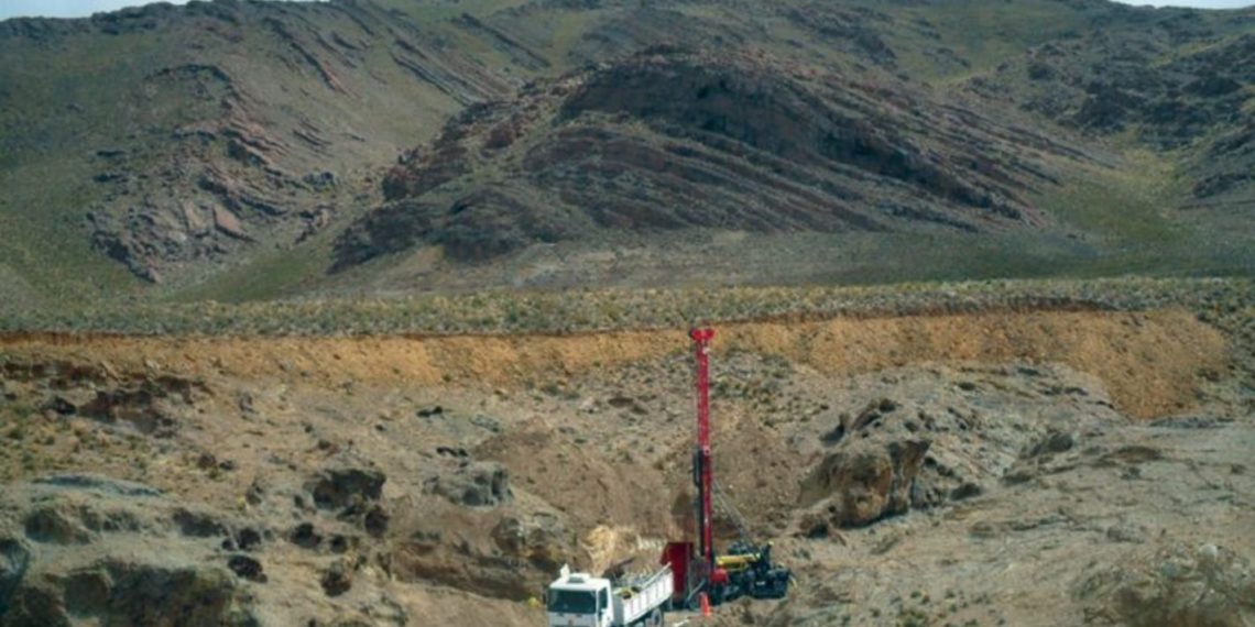 Chinchilllas generará U$S140 millones al año por exportaciones