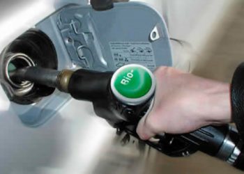 El Gobierno alienta la instalación de surtidores de Biocombustibles, pero especialistas dudan de su efectividad