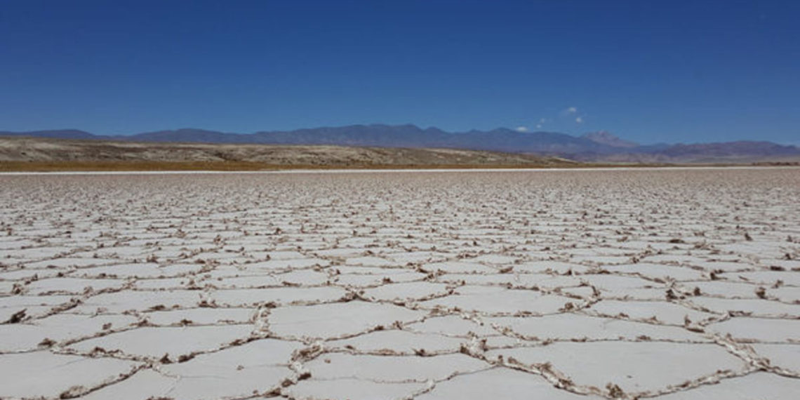 LSC Lithium presentó el reporte de recursos de litio en Pastos Grandes