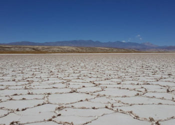 LSC Lithium presentó el reporte de recursos de litio en Pastos Grandes