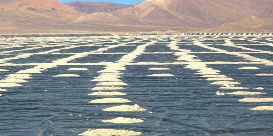 El proyecto de litio Rincón de Argosy producirá 10.000 t / año