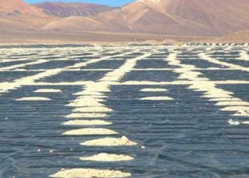 El proyecto de litio Rincón de Argosy producirá 10.000 t / año