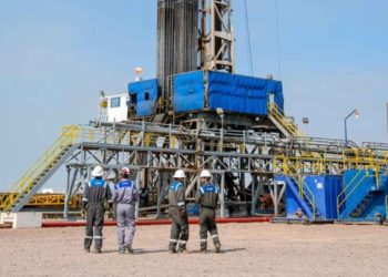 YPF proyecta pasar 9 bloques a desarrollo masivo en los próximos cinco años