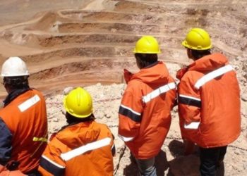 El Colegio Argentino de Ingenieros de Minas designó nuevas autoridades para el período 2018-2020