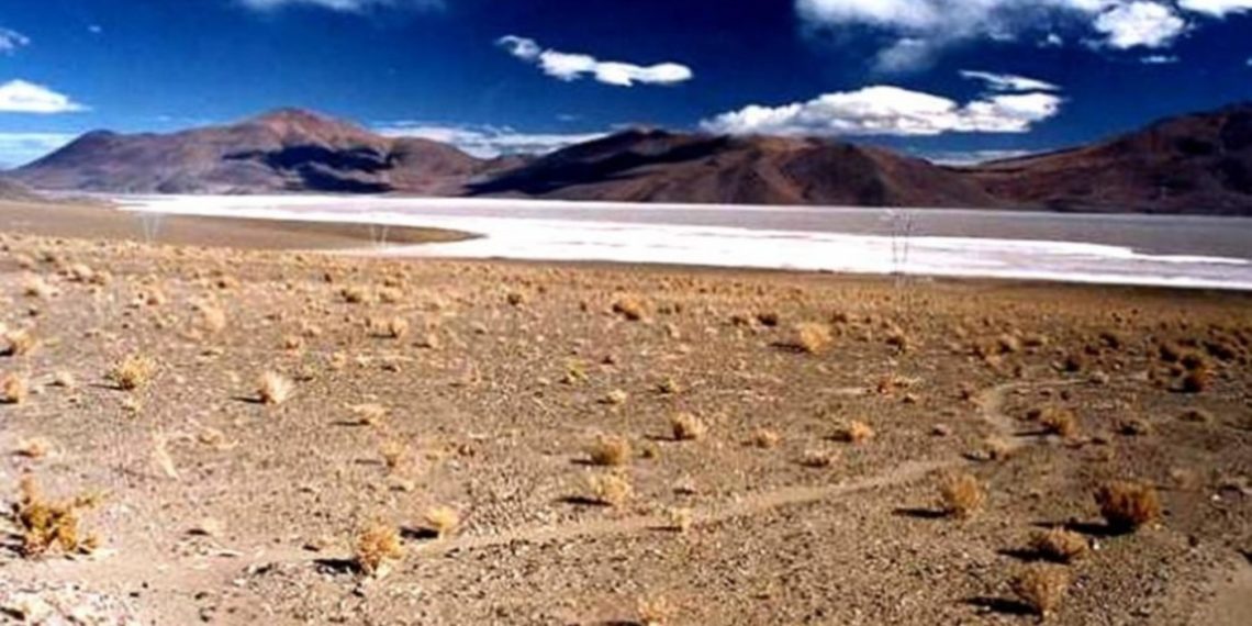Mineras de Salta destacan que crearon empleos