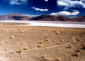 Mineras de Salta destacan que crearon empleos