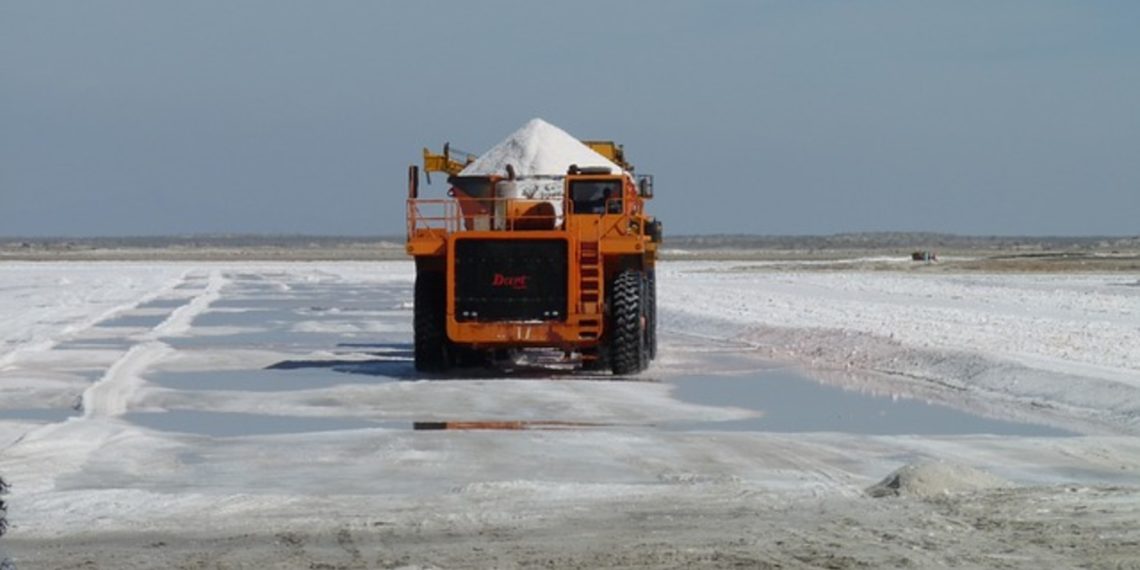 Eastern Shore Microbes trabaja con NRG Metals para mejorar la evaporación en el proyecto Hombre Muerto