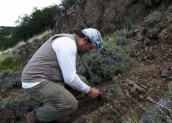 El Segemar realiza trabajos en la cordillera chubutense