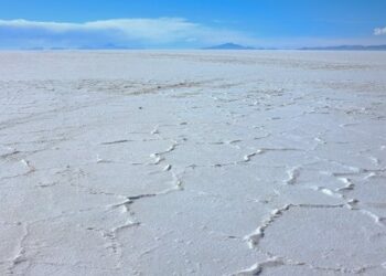 Bolivia proyecta 41 plantas para la industrialización del litio a partir de 2030