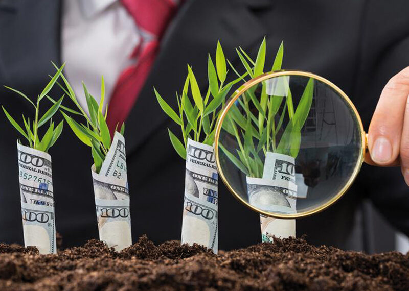 Bancos de todo el mundo se unen para promover las finanzas verdes