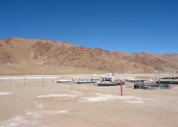 Salta: Mineras canadienses se fusionan y avanzan con un proyecto