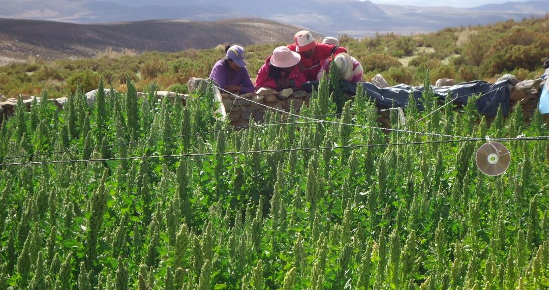 Salta: Empresa minera reafirma su compromiso social en Santa Rosa de los Pastos Grandes