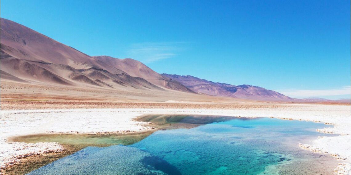 Empresa canadiense anuncia mayores reservas de litio en proyecto de Catamarca