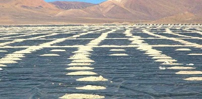 Litio en Salta: Argosy Minerals informó avances en el proyecto Rincón