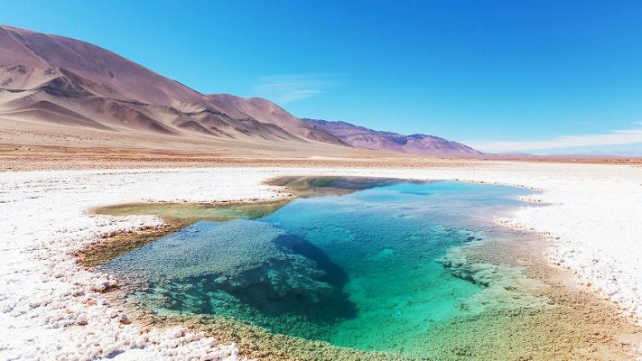 Registran concentraciones de litio grado récord en el Salar Tolillar de Salta