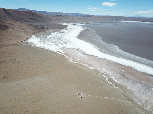Producen un concentrado de cloruro de litio «calidad premium» en Catamarca