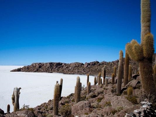 Summit Nanotech comienza su proyecto piloto de extracción de litio en Salta