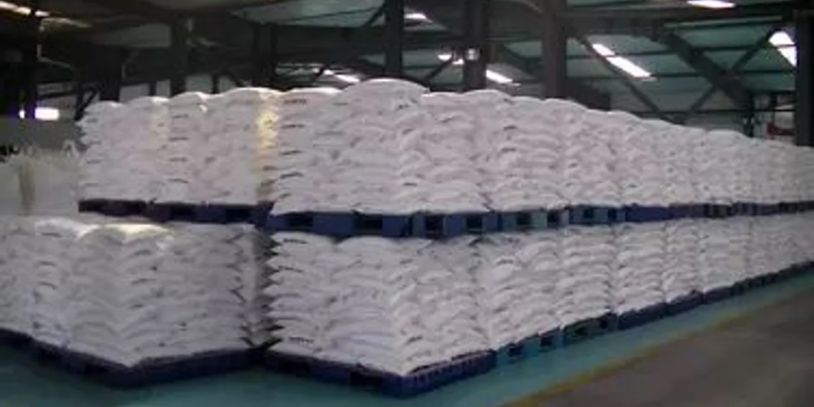 San Antonio Oeste declara de interés estratégico la producción de soda salvay para la industria del litio