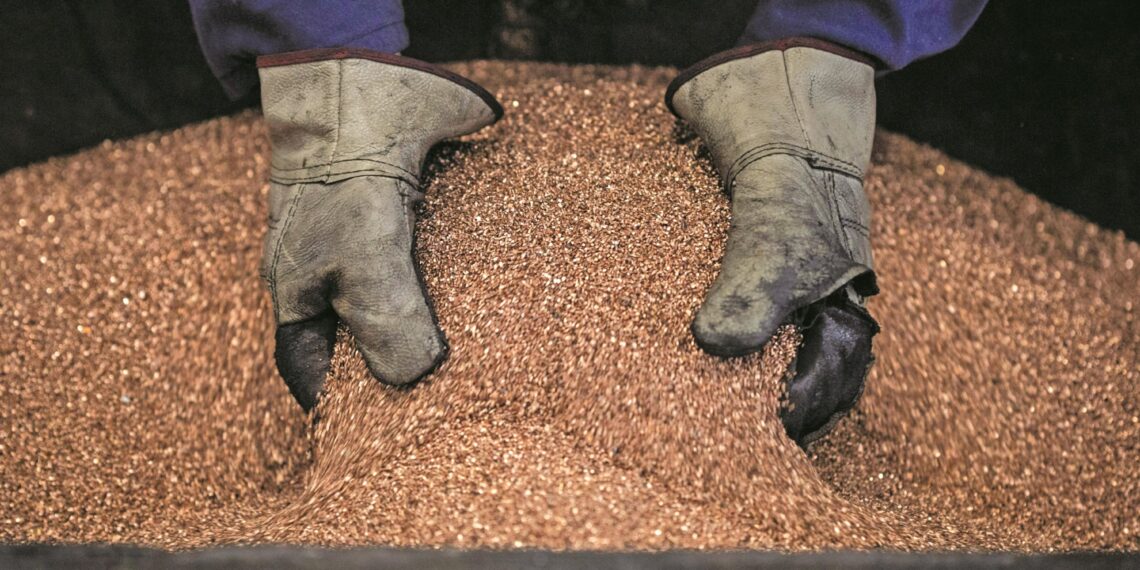 Argentina proyecta invertir 20 mil millones de dólares en nuevos proyectos de cobre en los próximos años, según informe sectorial