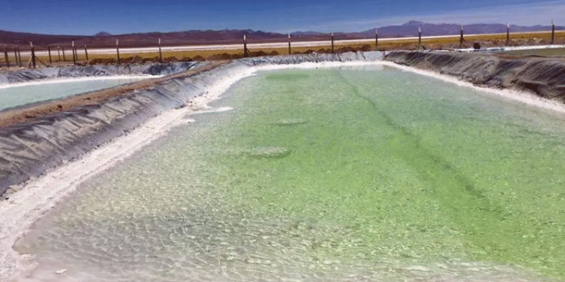 Proyecto millonario de US$2.000 millones impulsa el litio en Salta con Ganfeng Lithium