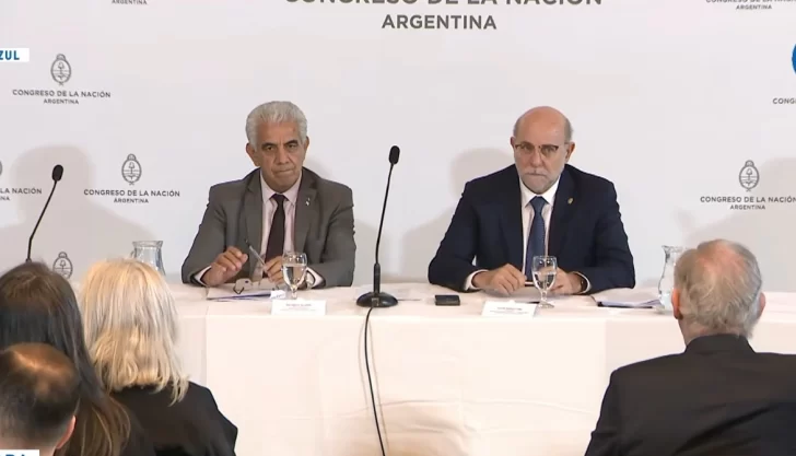 Argentina impulsa debate histórico sobre minería: desafíos y oportunidades