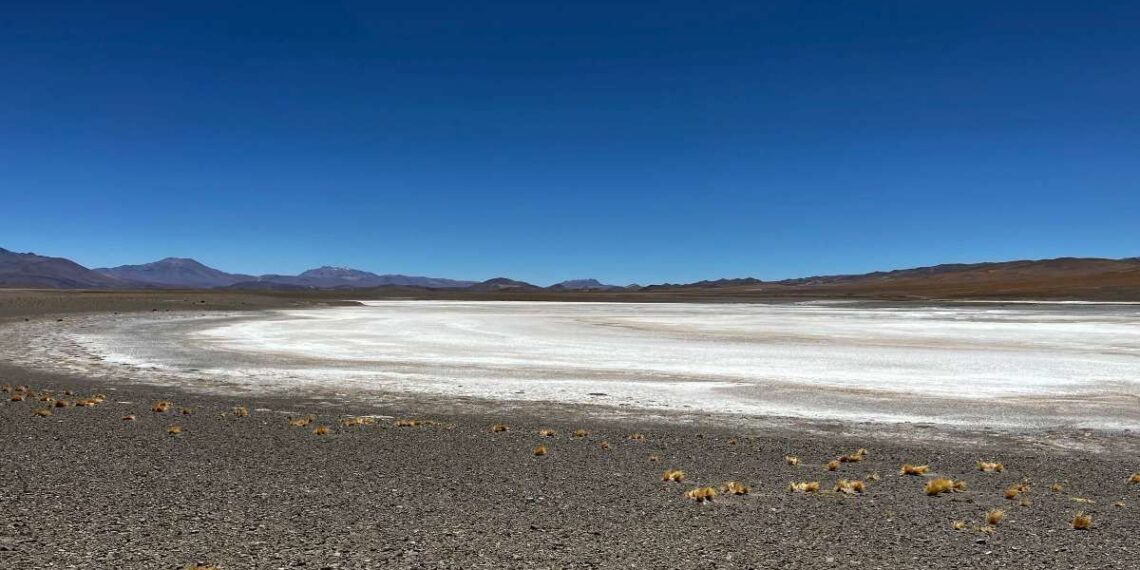 Patagonia Lithium avanza hacia la producción de litio en Jujuy con nuevos estudios y perforaciones