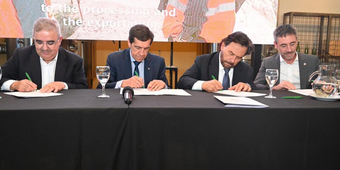 Mesa del Litio: Gobernadores del Norte sellan un acuerdo regional para blindar inversiones