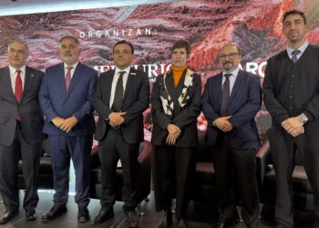 Minería binacional: Mendoza busca acelerar el desarrollo del cobre en integración con Chile