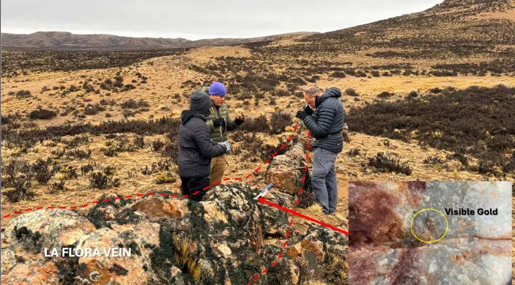 Oro y plata: Daura Gold confirma hallazgos de alta ley en el proyecto santacruceño La Flora