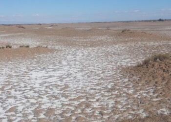 Litio en La Rioja: La empresa Udine inicia la perforación exploratoria en el proyecto Arauco
