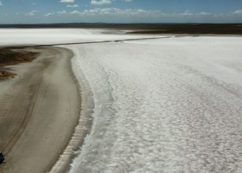 Litio: Mendoza aprobó el informe ambiental para iniciar la exploración del proyecto Don Luis